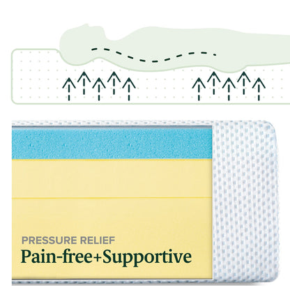 Zinus 8-Inch Twin Cooling Memory Foam Mattress – Green Tea & Fiberglass Free